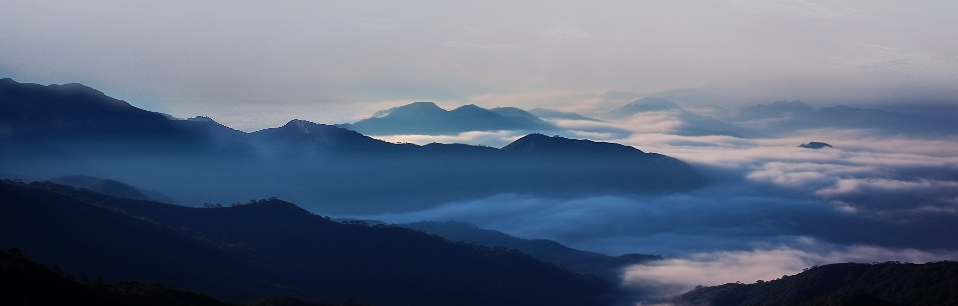 j9国际厅新材料股份有限公司